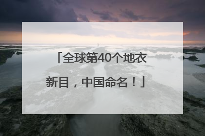 全球第40个地衣新目，中国命名！