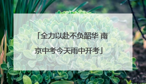 全力以赴不负韶华 南京中考今天雨中开考