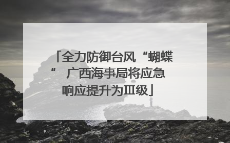 全力防御台风“蝴蝶” 广西海事局将应急响应提升为Ⅲ级