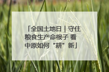 全国土地日｜守住粮食生产命根子 看中原如何“耕”新