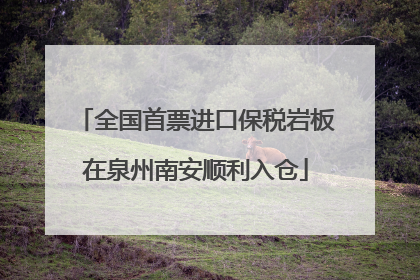 全国首票进口保税岩板在泉州南安顺利入仓