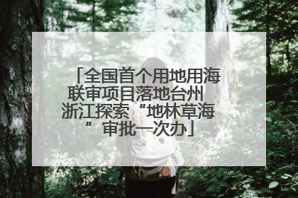 全国首个用地用海联审项目落地台州 浙江探索“地林草海”审批一次办