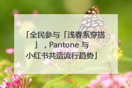 全民参与「浅春系穿搭」，Pantone 与小红书共造流行趋势