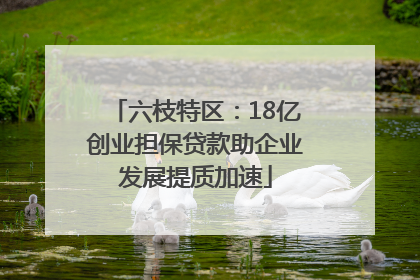 六枝特区：18亿创业担保贷款助企业发展提质加速