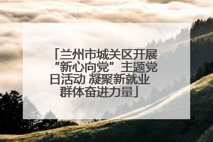 兰州市城关区开展“新心向党”主题党日活动 凝聚新就业群体奋进力量