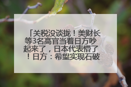 关税没谈拢！美财长等3名高官当着日方吵起来了，日本代表懵了！日方：希望实现石破茂与特朗普的会晤