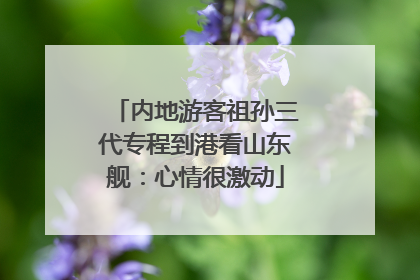 内地游客祖孙三代专程到港看山东舰：心情很激动