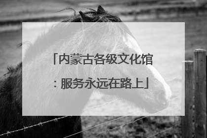 内蒙古各级文化馆：服务永远在路上
