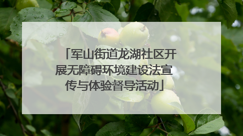 军山街道龙湖社区开展无障碍环境建设法宣传与体验督导活动