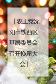 农工党沈阳市铁西区基层委员会召开换届大会