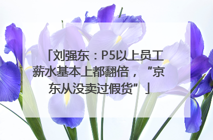 刘强东：P5以上员工薪水基本上都翻倍，“京东从没卖过假货”