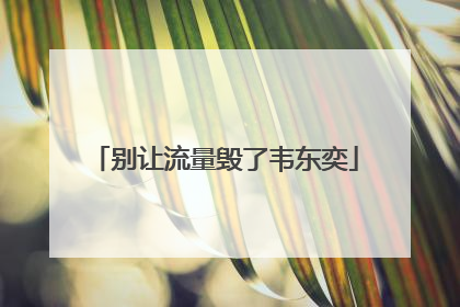 别让流量毁了韦东奕