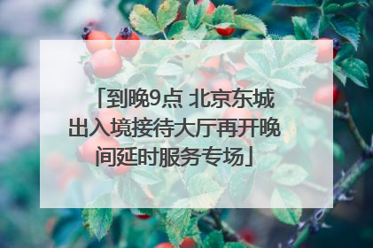 到晚9点 北京东城出入境接待大厅再开晚间延时服务专场