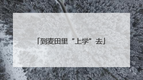 到麦田里“上学”去