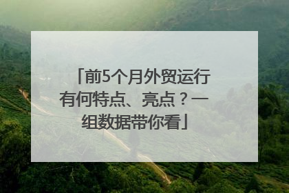 前5个月外贸运行有何特点、亮点？一组数据带你看