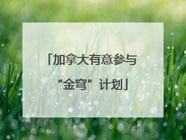 加拿大有意参与“金穹”计划