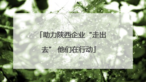 助力陕西企业“走出去” 他们在行动