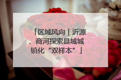 区域风向｜沂源、商河探索县域城镇化“双样本”