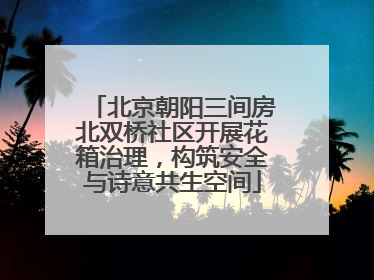 北京朝阳三间房北双桥社区开展花箱治理，构筑安全与诗意共生空间