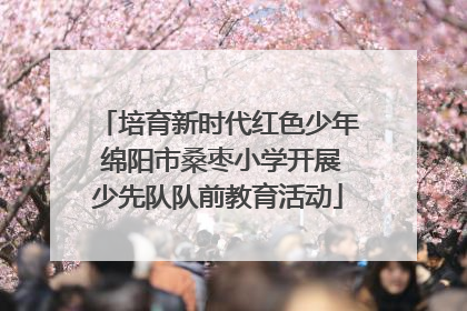 培育新时代红色少年 绵阳市桑枣小学开展少先队队前教育活动