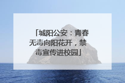 城阳公安：青春无毒向阳花开，禁毒宣传进校园