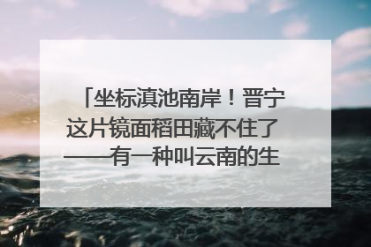 坐标滇池南岸！晋宁这片镜面稻田藏不住了——有一种叫云南的生活之365天