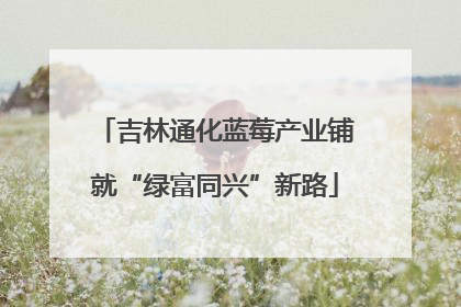 吉林通化蓝莓产业铺就“绿富同兴”新路