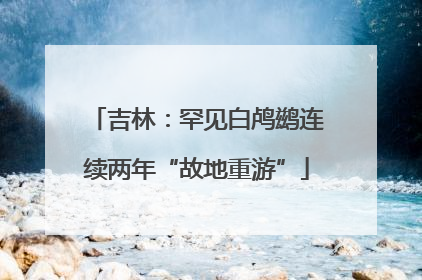 吉林：罕见白鸬鹚连续两年“故地重游”