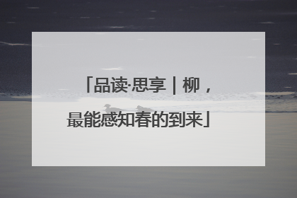 品读·思享｜柳，最能感知春的到来