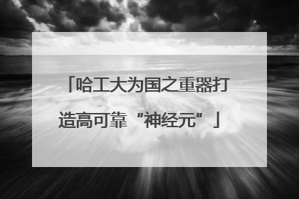 哈工大为国之重器打造高可靠“神经元”
