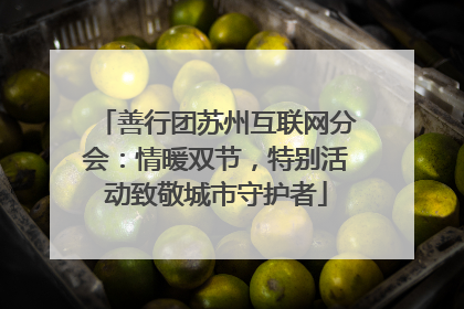 善行团苏州互联网分会：情暖双节，特别活动致敬城市守护者