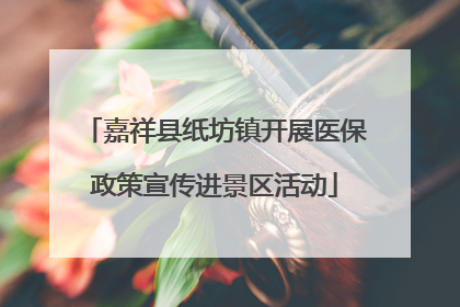 嘉祥县纸坊镇开展医保政策宣传进景区活动