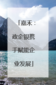 嘉禾：政企银携手赋能企业发展