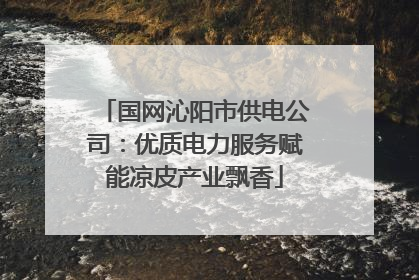 国网沁阳市供电公司：优质电力服务赋能凉皮产业飘香