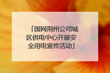 国网荆州公司城区供电中心开展安全用电宣传活动