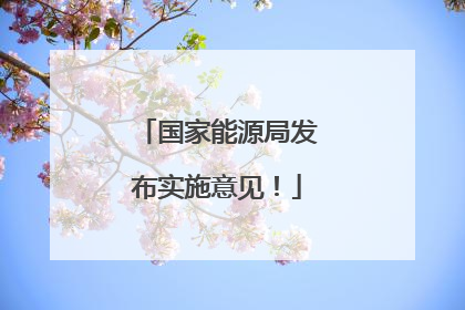 国家能源局发布实施意见！