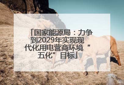 国家能源局：力争到2029年实现现代化用电营商环境“五化”目标
