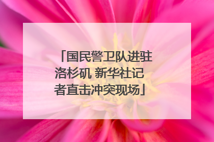 国民警卫队进驻洛杉矶 新华社记者直击冲突现场