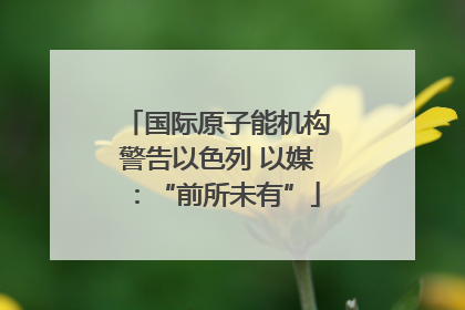 国际原子能机构警告以色列 以媒：“前所未有”
