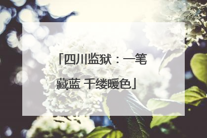 四川监狱：一笔藏蓝 千缕暖色