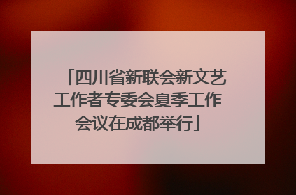 四川省新联会新文艺工作者专委会夏季工作会议在成都举行