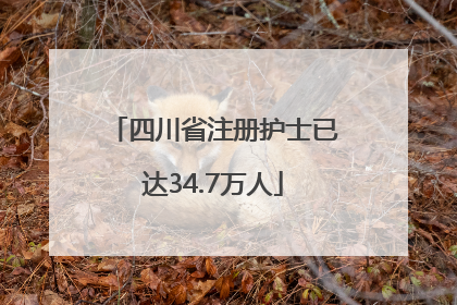 四川省注册护士已达34.7万人