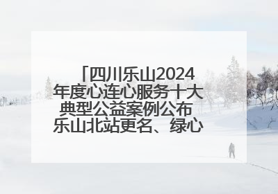 四川乐山2024年度心连心服务十大典型公益案例公布 乐山北站更名、绿心路井盖治理等上榜