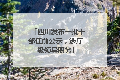 四川发布一批干部任前公示，涉厅级领导职务