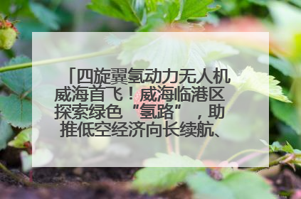 四旋翼氢动力无人机威海首飞！威海临港区探索绿色“氢路”，助推低空经济向长续航、大载重“进化”