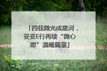 四载微光成星河，妥妥E行再续“微心愿”温暖篇章