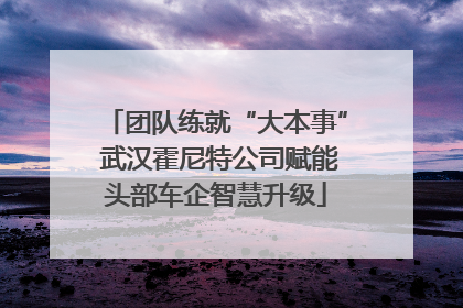 团队练就“大本事” 武汉霍尼特公司赋能头部车企智慧升级