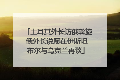 土耳其外长访俄斡旋 俄外长说愿在伊斯坦布尔与乌克兰再谈