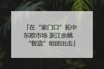 在“家门口”拓中东欧市场 浙江余姚“智造”组团出击