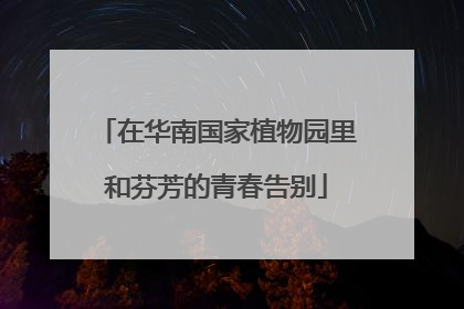 在华南国家植物园里和芬芳的青春告别